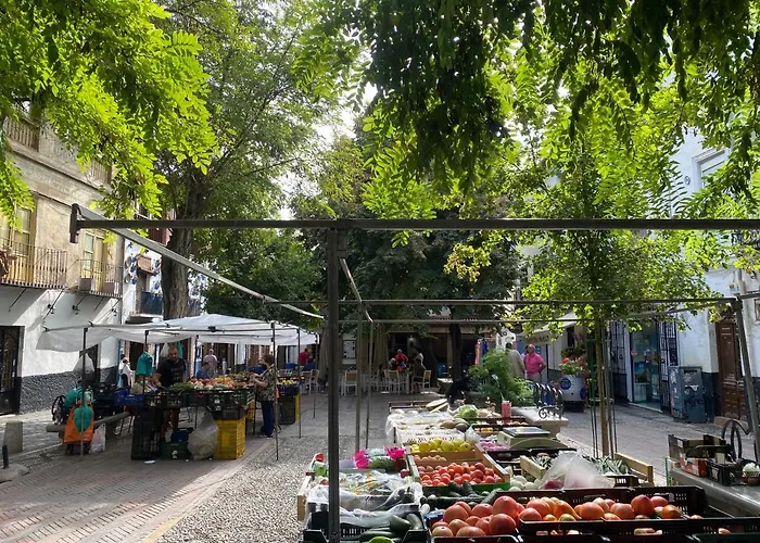 Al-mansur Granada