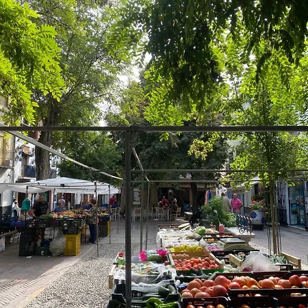 Al-mansur Granada